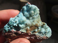 Natural Drusy Coated Chrysocolla Dolomite Specimens x 6 From Congo