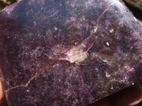 Polished Deep Purple Lepidolite Free Forms  x 3 From Zimbabwe - TopRock