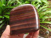 Polished Tiger Iron Banded Jasper Standing Free Forms  x 3 From Northern Cape, South Africa - TopRock