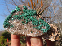 Natural Rare Ball Malachite On Drusy Quartz & Dolomite Matrix Specimens x 2 From Kambove, Congo