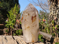 Polished Large Smokey Window Sceptre Quartz Crystal x 1 From Ankazobe, Madagascar