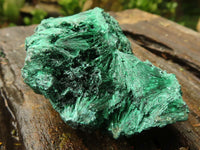 Natural Chatoyant Silky Malachite Specimens  x 6 From Kasompe, Congo - TopRock