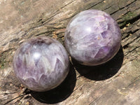 Polished Smokey Flower Amethyst Spheres  x 2 From Madagascar - TopRock