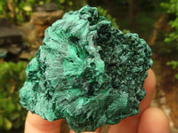 Natural Chatoyant Silky Malachite Specimens  x 6 From Kasompe, Congo - TopRock