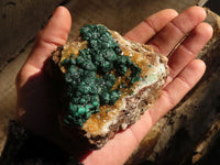 Natural Rare Ball Malachite With Quartz On Dolomite Specimens x 2 From Kambove, Congo