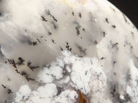 Polished Dendritic Opal Standing Free Forms  x 2 From Moralambo, Madagascar