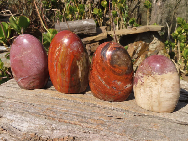 Polished Red Podocarpus Petrified Wood Standing Free Forms x 4 From Mahajanga, Madagascar