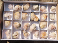 Natural Spirit Cactus Quartz Specimens x 24 From Boekenhouthoek, South Africa