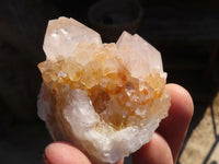 Natural Spirit Cactus Quartz Specimens x 24 From Boekenhouthoek, South Africa