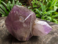 Polished Lovely Selection Of Window Amethyst Crystals  x 6 From Akansobe, Madagascar - TopRock