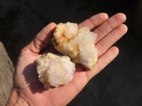 Natural Spirit Cactus Quartz Specimens x 24 From Boekenhouthoek, South Africa