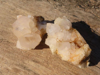 Natural Spirit Cactus Quartz Specimens x 24 From Boekenhouthoek, South Africa