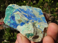 Natural Azurite & Malachite On Dolomite Specimens  x 24 From Kaokoveld, Namibia - Toprock Gemstones and Minerals 