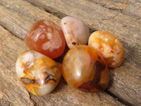 Polished Mini Coral Flower Agate Palm Stones  x 100 From Madagascar - Toprock Gemstones and Minerals 