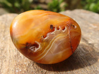 Polished Mini Coral Flower Agate Palm Stones  x 100 From Madagascar - Toprock Gemstones and Minerals 