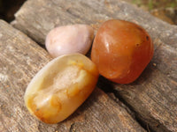 Polished Mini Coral Flower Agate Palm Stones  x 100 From Madagascar - Toprock Gemstones and Minerals 