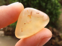 Polished Mini Coral Flower Agate Palm Stones  x 100 From Madagascar - Toprock Gemstones and Minerals 