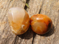 Polished Mini Coral Flower Agate Palm Stones  x 100 From Madagascar - Toprock Gemstones and Minerals 