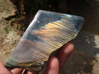 Polished One Side Polished Labradorite Slabs  x 12 From Madagascar - TopRock