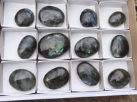 Polished Flashy Labradorite Palm Stones  x 12 From Tulear, Madagascar - TopRock