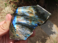 Polished One Side Polished Labradorite Slabs  x 12 From Madagascar - TopRock