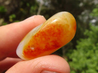 Polished Mini Coral Flower Agate Palm Stones  x 100 From Madagascar - Toprock Gemstones and Minerals 