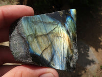 Polished One Side Polished Labradorite Slabs  x 12 From Madagascar - TopRock