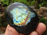 Polished Flashy Labradorite Palm Stones  x 12 From Tulear, Madagascar - TopRock