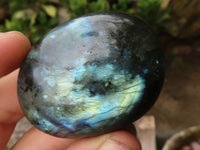 Polished Flashy Labradorite Palm Stones  x 12 From Tulear, Madagascar - TopRock