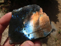 Polished One Side Polished Labradorite Slabs  x 12 From Madagascar - TopRock