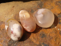 Polished Mini Coral Flower Agate Palm Stones  x 100 From Madagascar - Toprock Gemstones and Minerals 