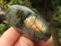 Polished Flashy Labradorite Palm Stones  x 12 From Tulear, Madagascar - TopRock