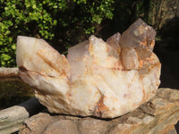 Natural Red Hematoid Quartz Cluster x 1 From Karoi, Zimbabwe