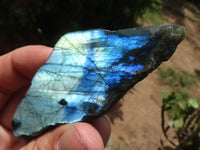 Polished One Side Polished Labradorite Slabs  x 12 From Madagascar - TopRock