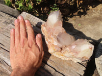 Natural Red Hematoid Quartz Cluster x 1 From Karoi, Zimbabwe