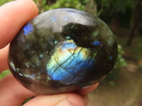 Polished Flashy Labradorite Palm Stones  x 12 From Tulear, Madagascar - TopRock