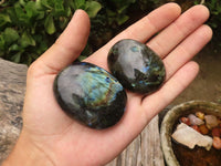 Polished Flashy Labradorite Palm Stones  x 12 From Tulear, Madagascar - TopRock