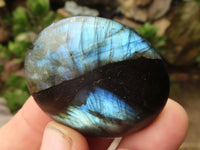 Polished Flashy Labradorite Palm Stones  x 12 From Tulear, Madagascar - TopRock