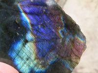 Polished One Side Polished Labradorite Slabs  x 12 From Madagascar - TopRock