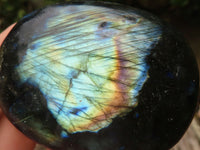 Polished Flashy Labradorite Palm Stones  x 12 From Tulear, Madagascar - TopRock