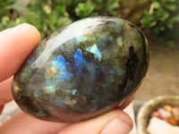 Polished Flashy Labradorite Palm Stones  x 12 From Tulear, Madagascar - TopRock