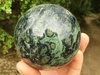 Polished Stromatolite / Kambamba Jasper Spheres  x 3 From Madagascar - Toprock Gemstones and Minerals 