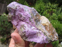 Natural Purple Stichtite Cobbed Specimens  x 12 From Barberton, South Africa - TopRock