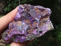 Natural Purple Stichtite Cobbed Specimens  x 12 From Barberton, South Africa - TopRock