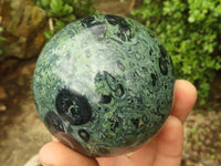 Polished Stromatolite / Kambamba Jasper Spheres  x 3 From Madagascar - Toprock Gemstones and Minerals 