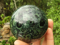 Polished Stromatolite / Kambamba Jasper Spheres  x 3 From Madagascar - Toprock Gemstones and Minerals 