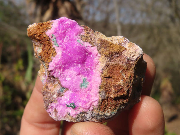 Natural Pink Salrose Cobaltion Dolomite Specimens  x 13 From Kakanda, Congo