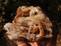 Natural Rare Bladed Barite Specimens  x 2 From Congo