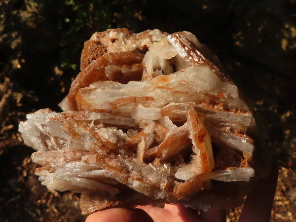 Natural Rare Bladed Barite Specimens x 2 From Congo