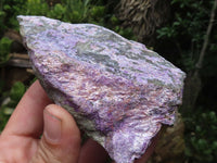 Natural Purple Stichtite Cobbed Specimens  x 12 From Barberton, South Africa - TopRock